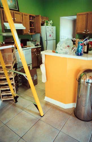 ladder and kitchen